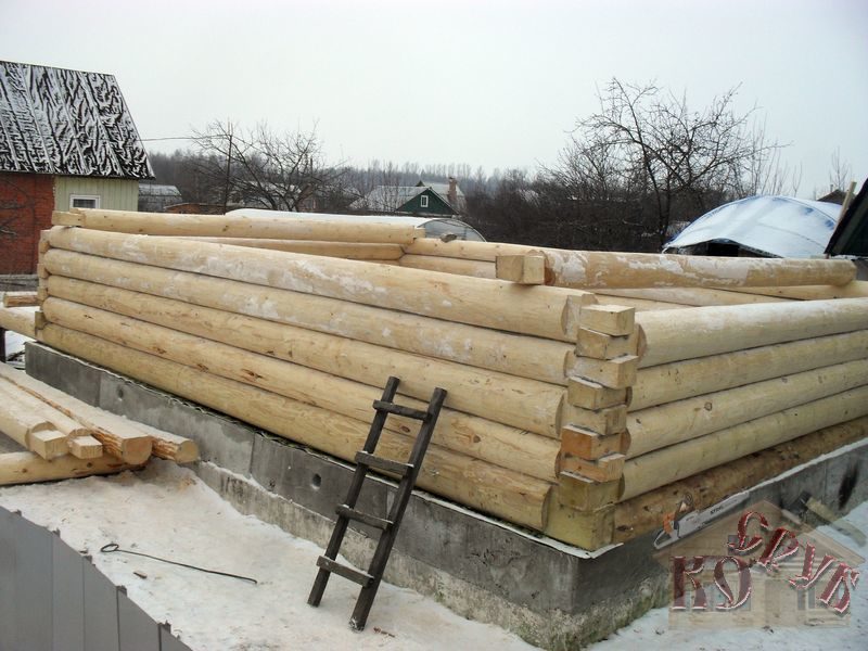 Дом из бревна в лапу